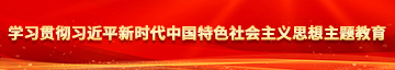 插操B视频学习贯彻习近平新时代中国特色社会主义思想主题教育